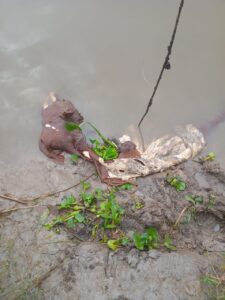 Preocupación por el aumento de casos de robo de ganado en la isla