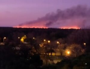 Incendios en las islas: el municipio de San Pedro reclamará la intervención de la Justicia Federal y reiteró que los focos están en jurisdicción de Entre Ríos