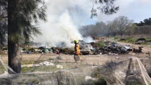 Incendio forestal en Lugones y Maipú