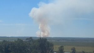 Nuevamente incendios en la zona de isla