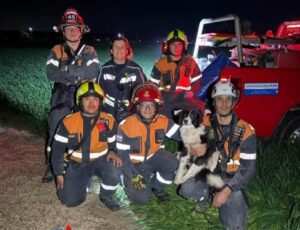 Bomberos rescató a un perro que cayó en un pozo de 20 metros de profundidad